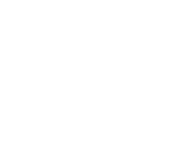typography - Futura PT Bold